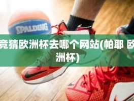 竞猜欧洲杯去哪个网站(帕耶 欧洲杯)