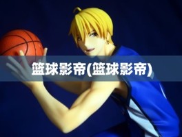 篮球影帝(篮球影帝)