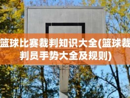 篮球比赛裁判知识大全(篮球裁判员手势大全及规则)