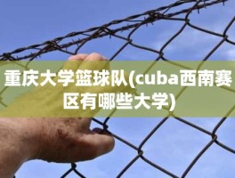 重庆大学篮球队(cuba西南赛区有哪些大学)