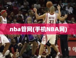 nba管网(手机NBA网)