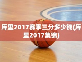 库里2017赛季三分多少钱(库里2017集锦)