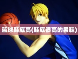 篮球鞋底高(鞋底很高的男鞋)