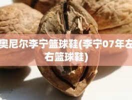 奥尼尔李宁篮球鞋(李宁07年左右篮球鞋)