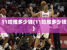 11哈维多少钱(11哈维多少钱)