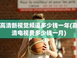 高清新视觉频道多少钱一年(高清电视费多少钱一月)
