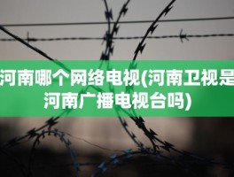 河南哪个网络电视(河南卫视是河南广播电视台吗)