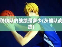 鹈鹕队的战绩是多少(灰熊队战绩)