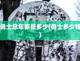 勇士总年薪是多少(勇士多少钱)