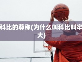 科比的尊称(为什么叫科比叫牢大)