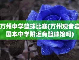 万州中学篮球比赛(万州观音岩国本中学附近有篮球馆吗)