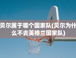 贝尔属于哪个国家队(贝尔为什么不去英格兰国家队)