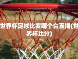 世界杯足球比赛哪个台直播(世界杯比分)
