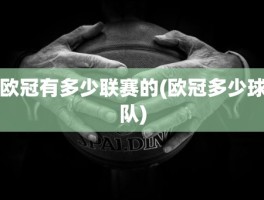 欧冠有多少联赛的(欧冠多少球队)