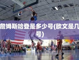 詹姆斯哈登是多少号(欧文是几号)