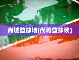 尚城篮球场(尚城篮球场)