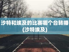 沙特和埃及的比赛哪个台转播(沙特埃及)