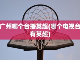广州哪个台播英超(哪个电视台有英超)