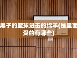 黑子的篮球进击的绵羊(是里面受的有哪些)