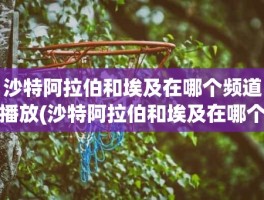 沙特阿拉伯和埃及在哪个频道播放(沙特阿拉伯和埃及在哪个频道播放)