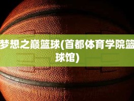 梦想之巅篮球(首都体育学院篮球馆)