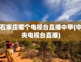 石家庄哪个电视台直播中甲(中央电视台直播)