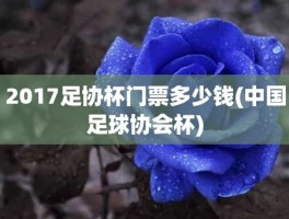 2017足协杯门票多少钱(中国足球协会杯)