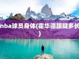 nba球员身体(霍华德跟腱多长)