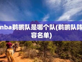 nba鹈鹕队是哪个队(鹈鹕队阵容名单)
