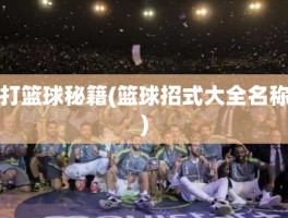 打篮球秘籍(篮球招式大全名称)