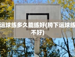 运球练多久能练好(胯下运球练不好)