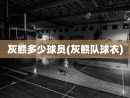 灰熊多少球员(灰熊队球衣)