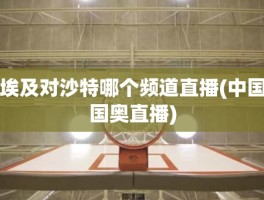 埃及对沙特哪个频道直播(中国国奥直播)