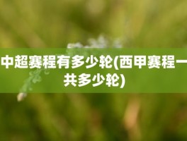 中超赛程有多少轮(西甲赛程一共多少轮)