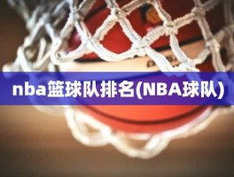 nba篮球队排名(NBA球队)