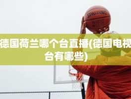 德国荷兰哪个台直播(德国电视台有哪些)