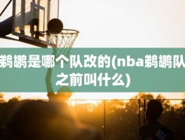 鹈鹕是哪个队改的(nba鹈鹕队之前叫什么)