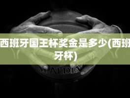 西班牙国王杯奖金是多少(西班牙杯)