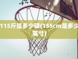 115斤是多少磅(155cm是多少英寸)
