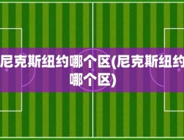 尼克斯纽约哪个区(尼克斯纽约哪个区)