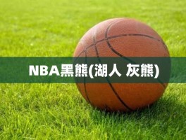 NBA黑熊(湖人 灰熊)