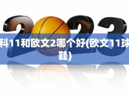 科11和欧文2哪个好(欧文11球鞋)