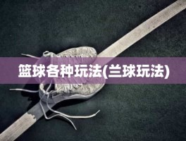 篮球各种玩法(兰球玩法)
