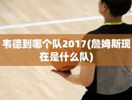 韦德到哪个队2017(詹姆斯现在是什么队)