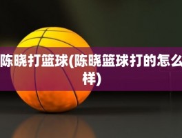 陈晓打篮球(陈晓篮球打的怎么样)