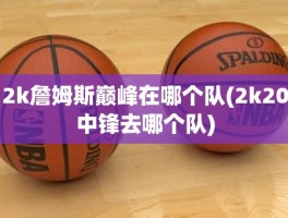 2k詹姆斯巅峰在哪个队(2k20中锋去哪个队)