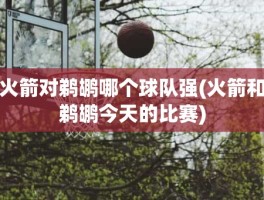 火箭对鹈鹕哪个球队强(火箭和鹈鹕今天的比赛)