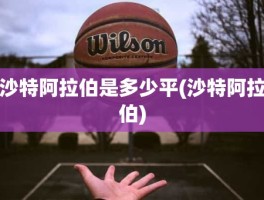 沙特阿拉伯是多少平(沙特阿拉伯)