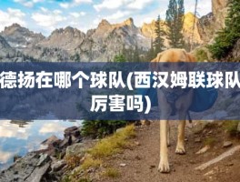 德扬在哪个球队(西汉姆联球队厉害吗)