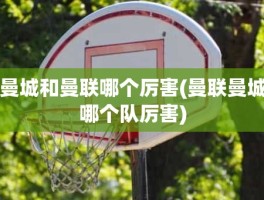 曼城和曼联哪个厉害(曼联曼城哪个队厉害)